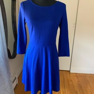 Blue Forever 21 Skater Dress Size Large